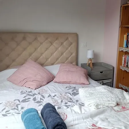Maison Face A L'ile Des Ebihens Holiday home *